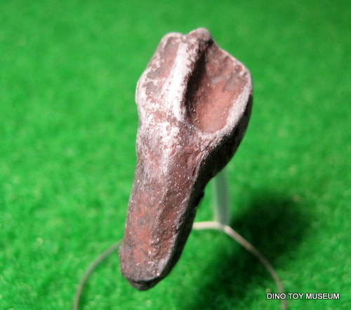 �g���P���g�v�X�̎�