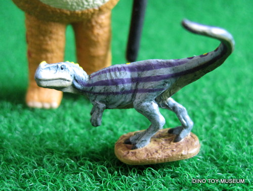 �P���g�T�E���X