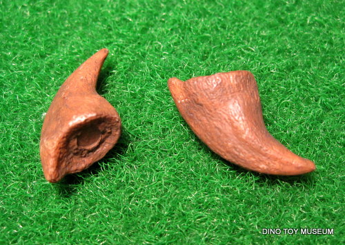 �e�B���m�T�E���X�̒�