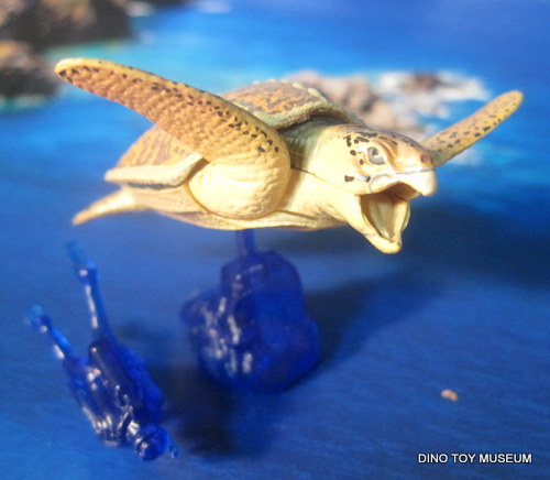 �A�[�P����