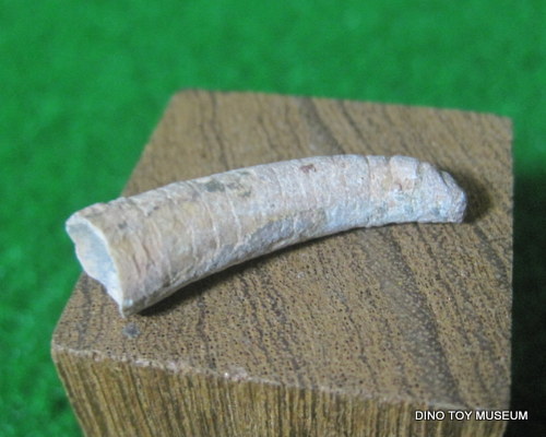 �I���\�Z���X