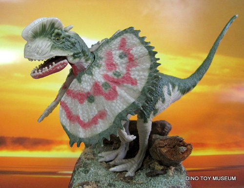 �f�B���t�H�T�E���X