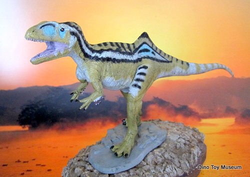 �R���J�x�i�g�[��