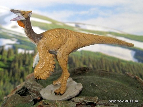 �y���J�j�~���X