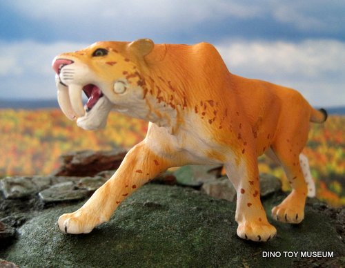 �T�[�x���^�C�K�[