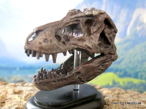 �e�B���m�T�E���X