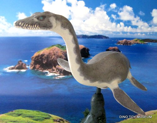 �v���V�I�T�E���X