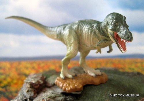 �e�B���m�T�E���X