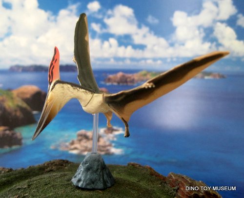 �v�e���m�h��