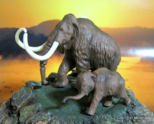 �}�����X�e�q