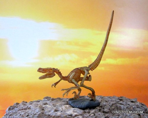 ���F���L���v�g��