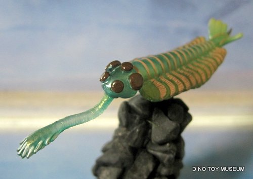 �I�p�r�j�A