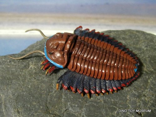 �g���A���c���X