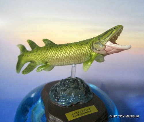 ���[�X�e�m�v�e����