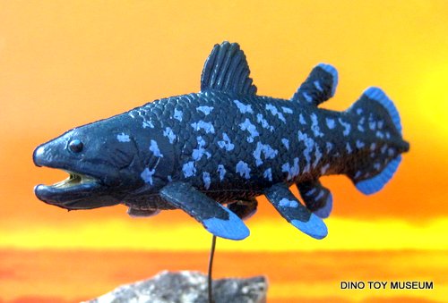 �V�[���J���X