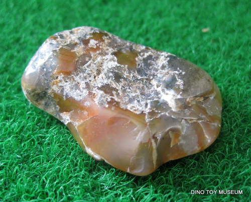 �E���R����