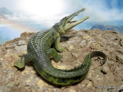 �}�`�J�l���j