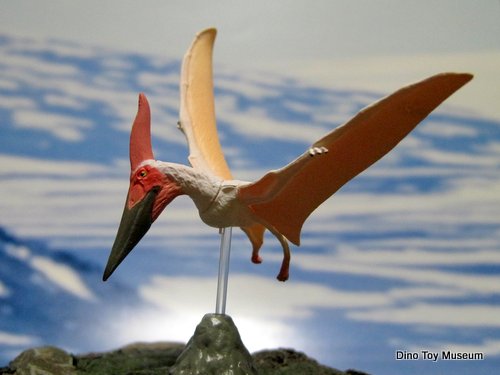 �v�e���m�h��