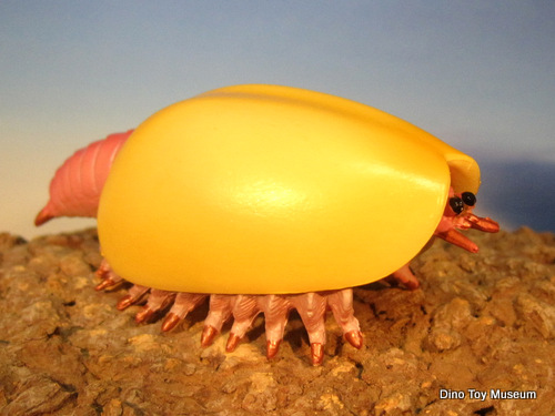 �J�i�_�X�s�X