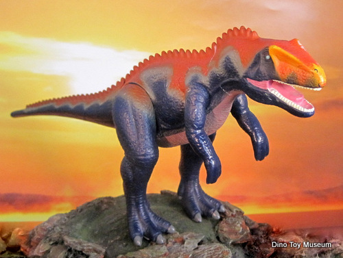 �T�E���t�@�K�i�N�X