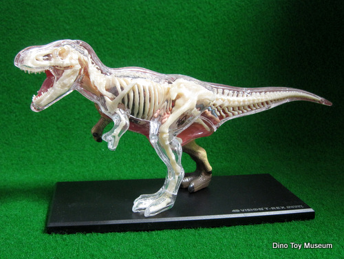 �e�B���m�T�E���X