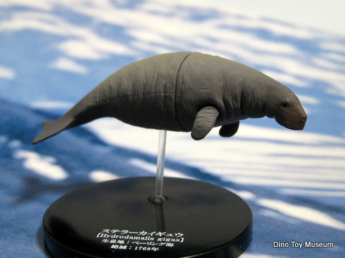 �X�e���[�J�C�M���E