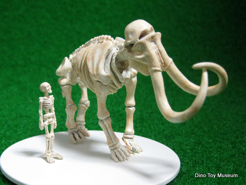 ���ق̍��i�I