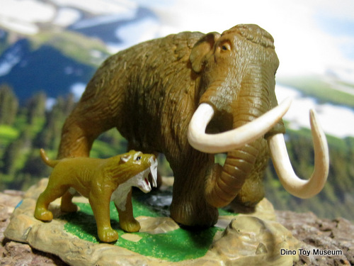 �ጴ�������I