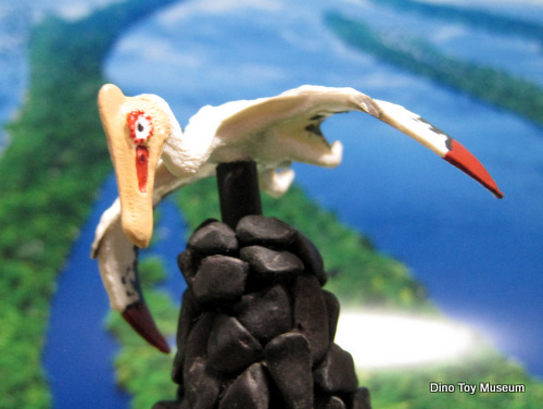 �P�c�@���R�A�g���X