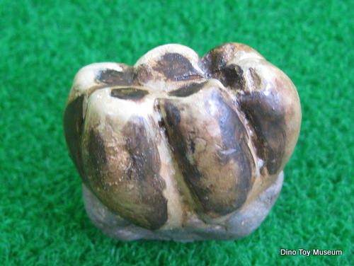 �f�X���X�`���X