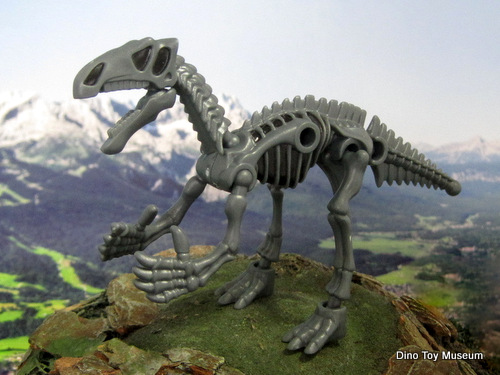 �R�V�T�E���X