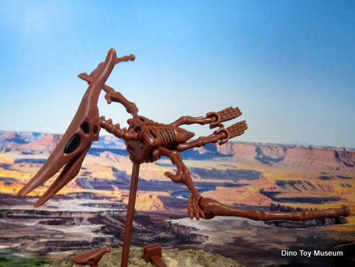 �v�e���m�h��