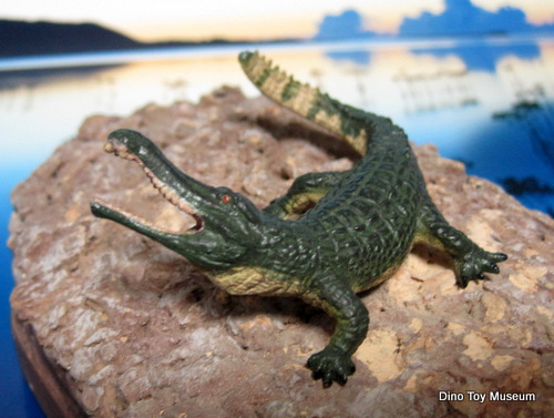 �T���R�X�N�X