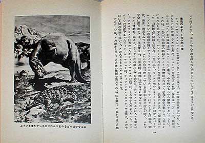 ������ł̓�