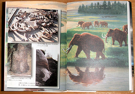 �}�����X��������