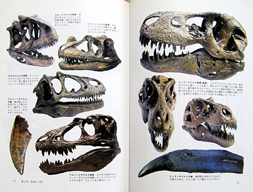 �V�E�����_