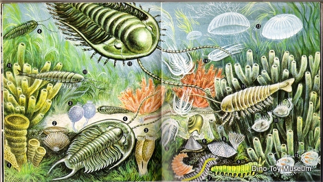 ����ꂽ����