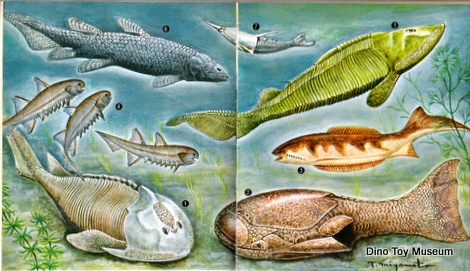 ����ꂽ����