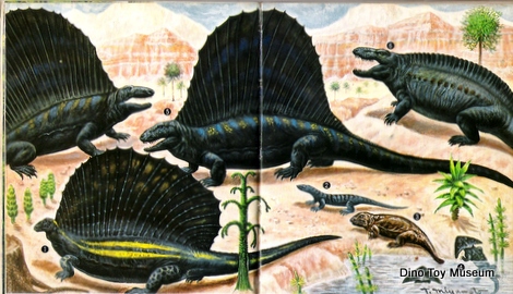 ����ꂽ����