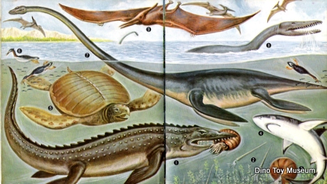 ����ꂽ����