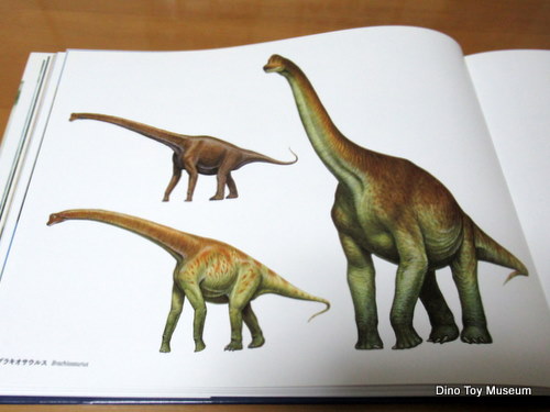 ����N���@������W