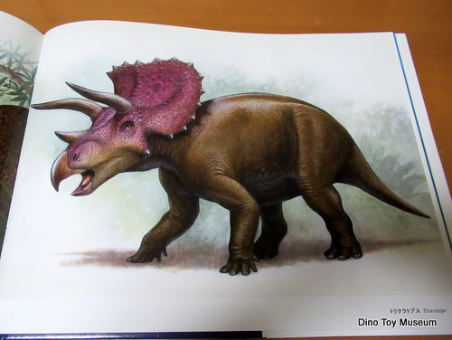 ����N���@������W