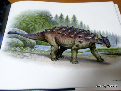 ����N���@������W