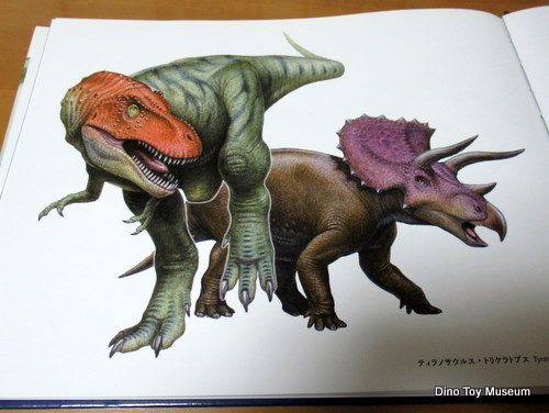 ����N���@������W